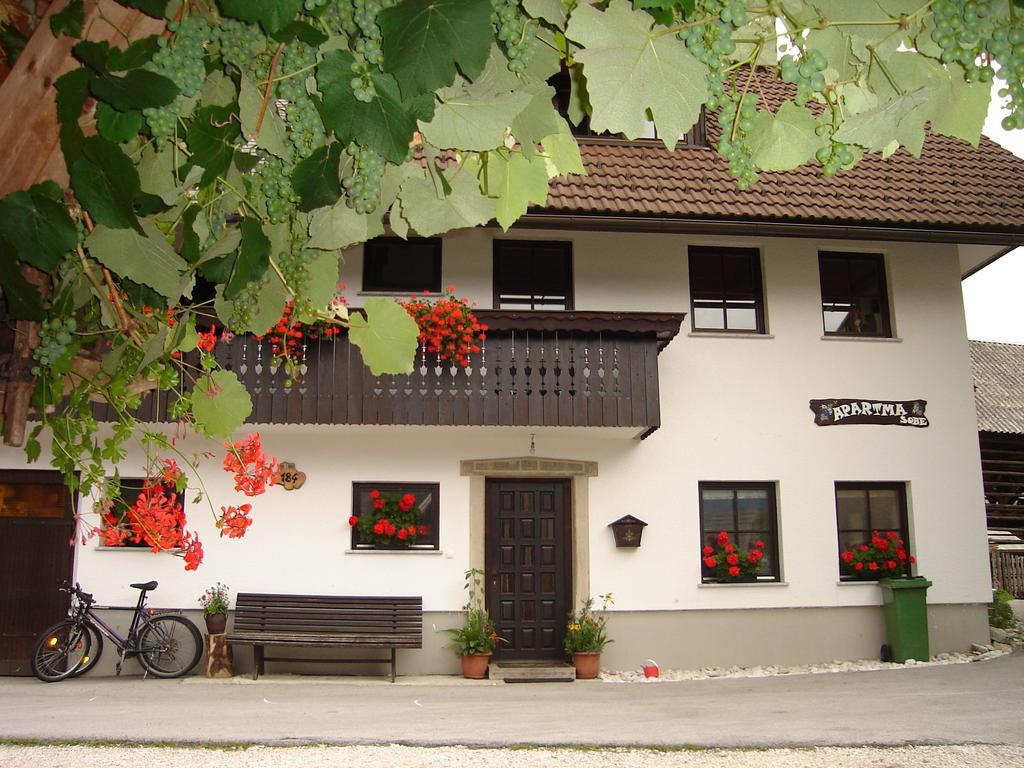 Apartment Cesar Bohinj Bagian luar foto